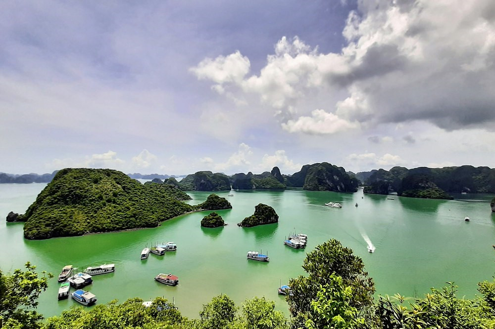 Vịnh Hạ Long. Ảnh: Wikipedia