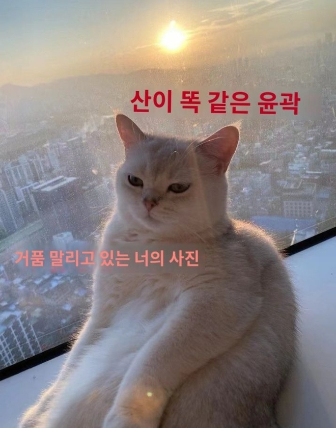 ... được cho là trùng khớp với view từ nhà Taemin