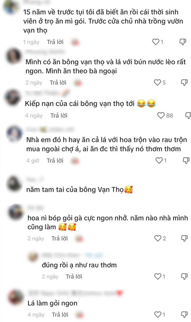 Một số CDM chia sẻ món ăn này được kết hợp với rất nhiều món ăn ở miền Tây như trộn gỏi, ăn cùng bún nước lèo hoặc cuốn bánh xèo... (Ảnh chụp màn hình TikTok)