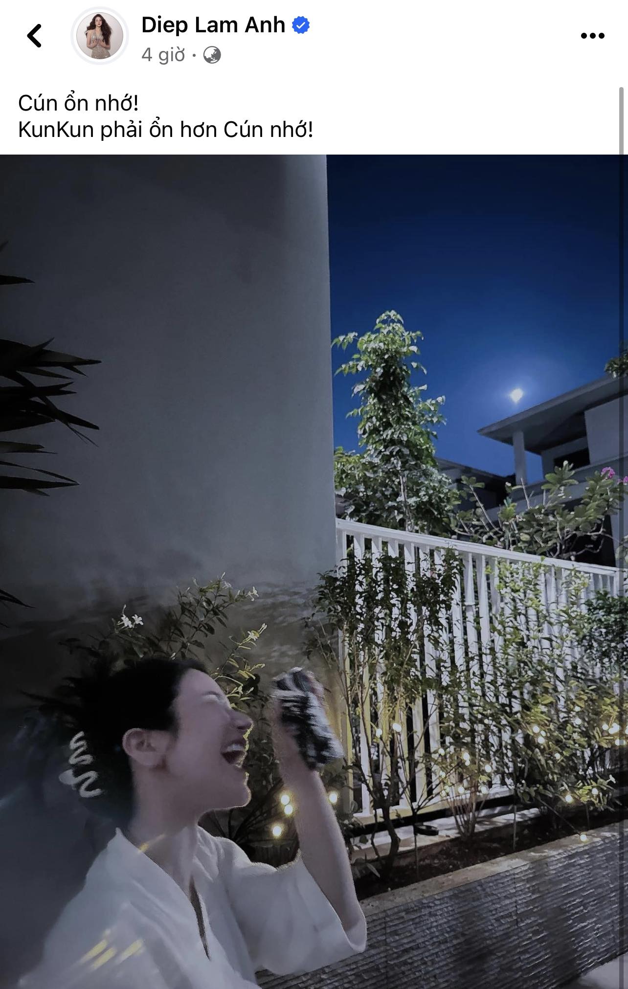 Động thái lạ lúc 4 giờ sáng của Diệp Lâm Anh