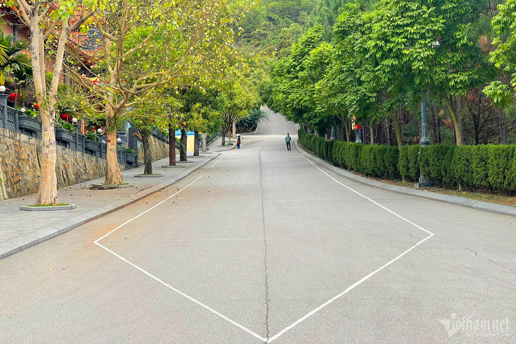 Đây là cảnh hiếm thấy tại chùa Ba Vàng dịp đầu xuân