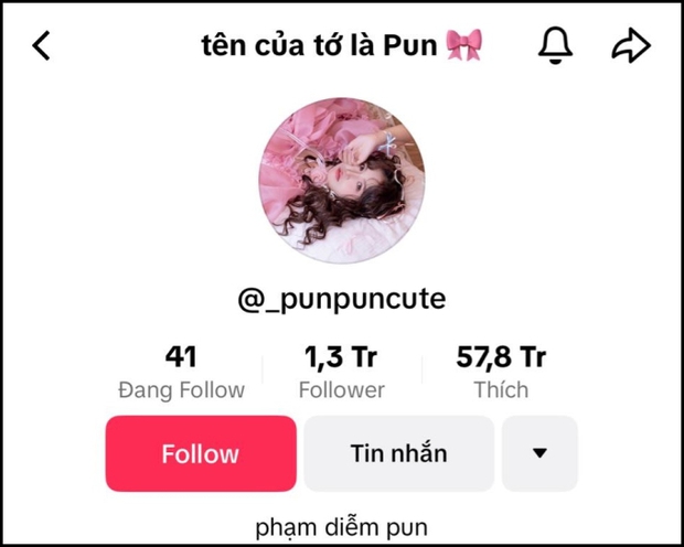 Cô nàng đang có 1,3 triệu người theo dõi