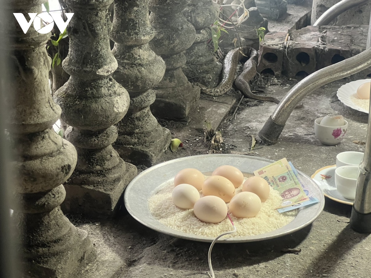 Hình ảnh một con rắn nước khiến cả khu phố xôn xao