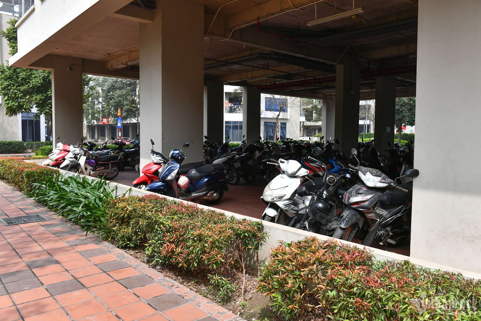 Còn giá thuê một tháng đối với căn nhỏ nhất (26,5m2) là 1,170 triệu đồng. Khu nhà này không có hầm. Bãi để xe máy được thiết kế tại tầng 1 của tòa nhà. Giá gửi xe là 60.000 đồng/chiếc/tháng.