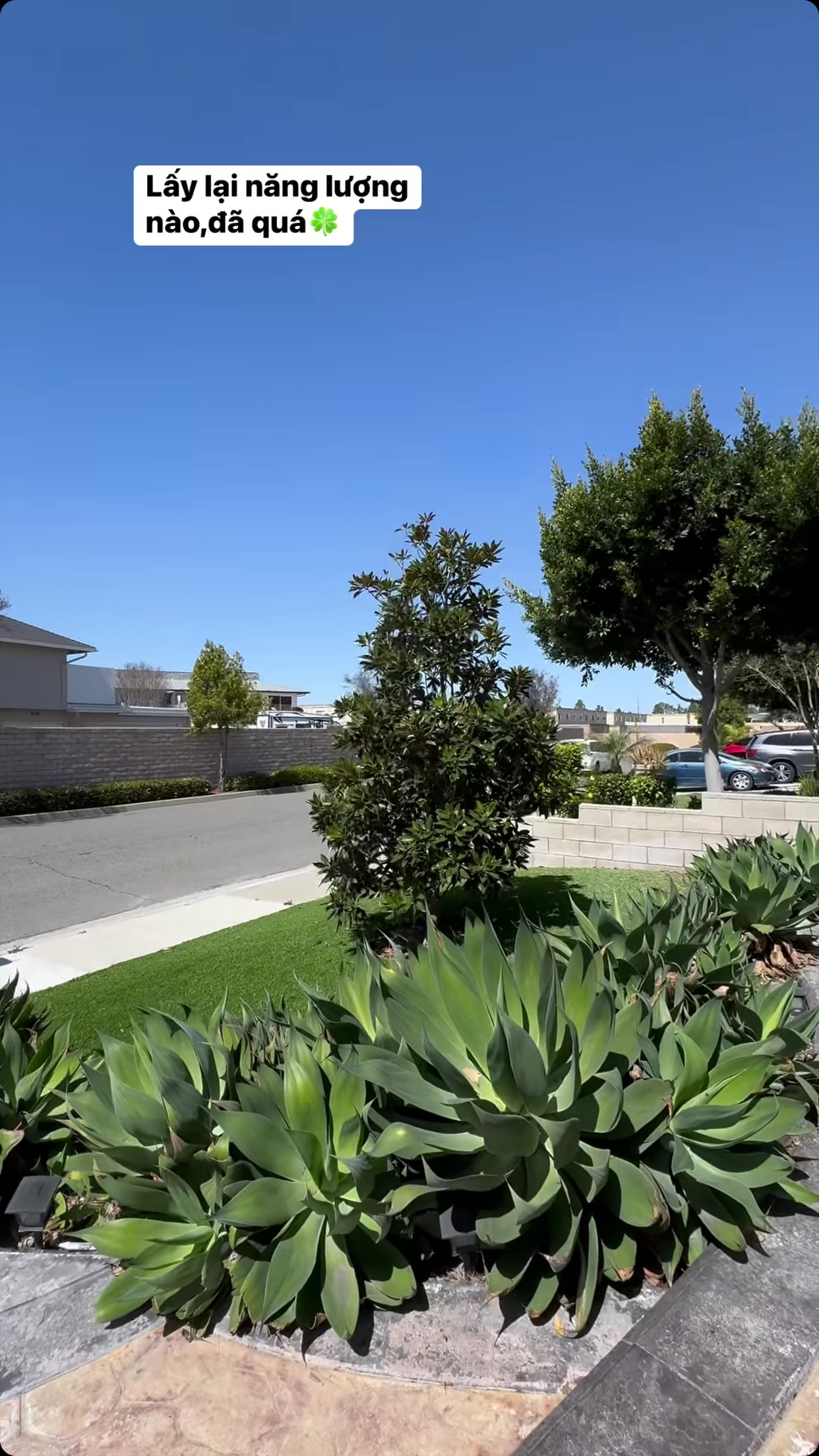 View hướng ra ngoài của căn biệt thự. Có thể thấy nữ ca sĩ rất chăm chút cho cơ ngơi của mình khi trồng cây và cắt tỉa đẹp mắt tạo không gian xanh cho ngôi nhà