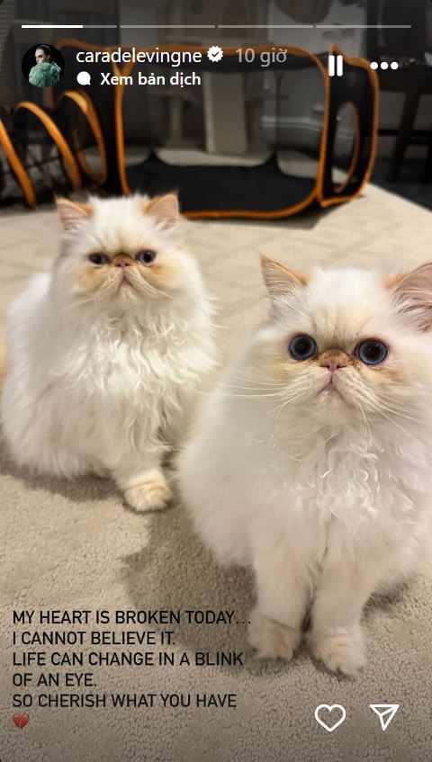 Cara Delevingne có những chia sẻ đầu tiên sau khi biệt thự sang trọng bị thiêu rụi