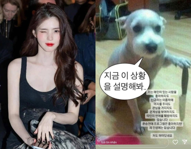 Han So Hee đáp trả gay gắt