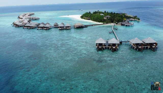 Khoa Pug chọn ở một bungalow phía bên phải, có hồ bơi riêng và một số tiện ích vượt trội so với cụm biệt thự nghỉ dưỡng còn lại