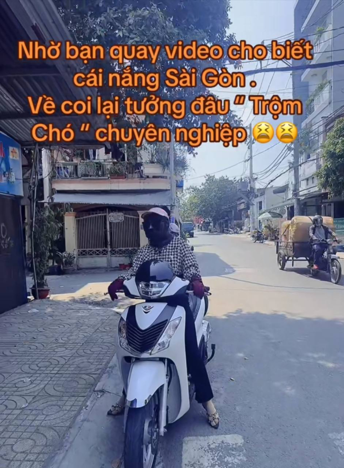 ừ thì... trông cũng giống thật.