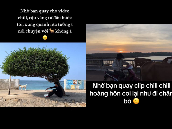 Không biết chill kiểu gì mà người thành ngồi nói chuyện với cún, người thành chăn bò...