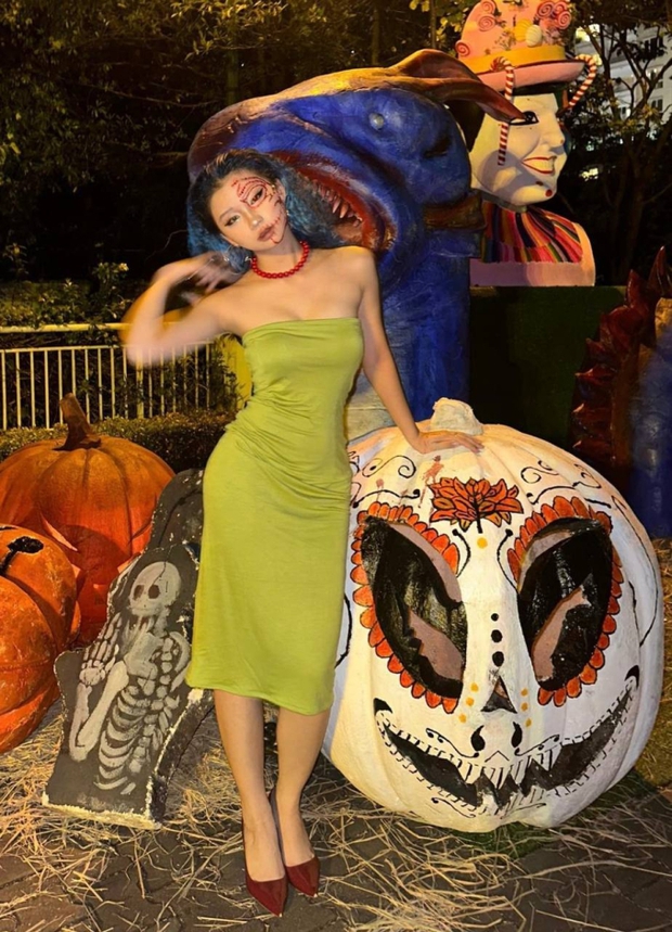 Visual cuốn hút của Hoa Xù