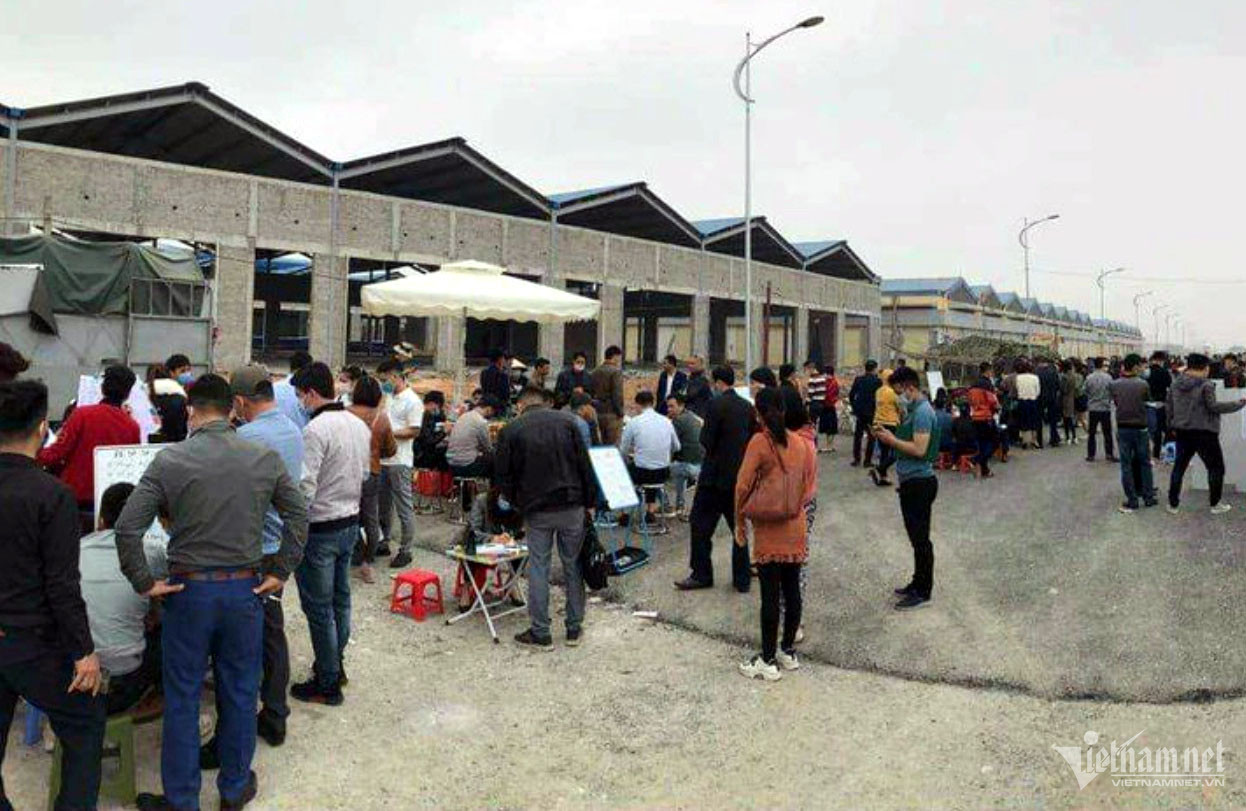 Thời điểm sốt đất (tháng 4/2021), hàng trăm khách hàng đến xem và xuống tiền mua dự án của Tập đoàn Phúc Sơn tại thị trấn Thổ Tang, huyện Vĩnh Tường. Ảnh: Xuân Hậu