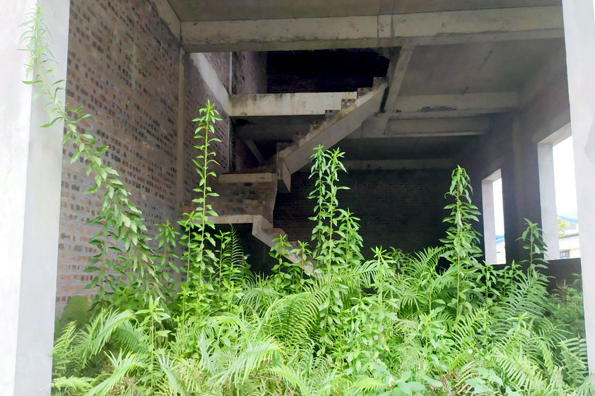 Khi cơn sốt đất qua đi và với việc Chủ tịch Tập đoàn Phúc Sơn bị khởi tố, bắt tạm giam thì hiện nay giao dịch tại dự án rất trầm lắng. Ảnh: Khôi Lâm 