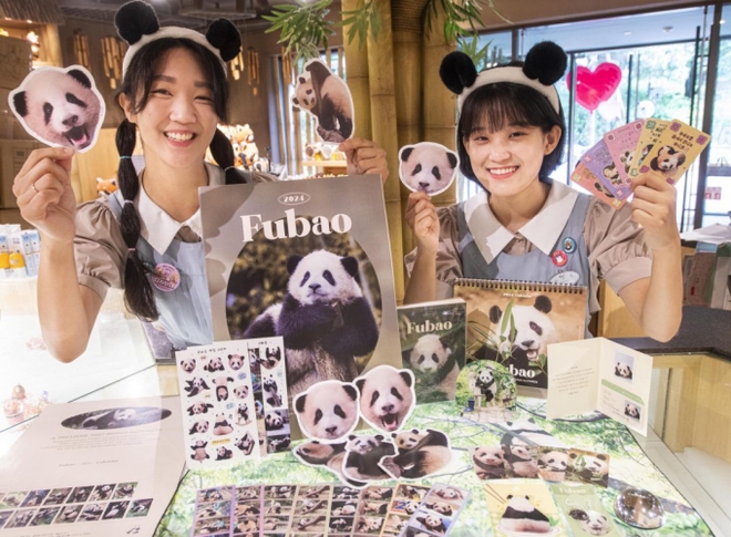 Hình ảnh của Fubao và các thành viên khác trong gia đình đem lại lợi nhuận khổng lồ cho Everland