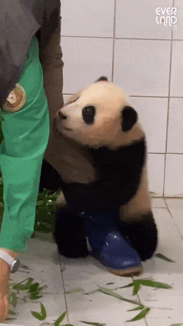 Một vài hình ảnh 