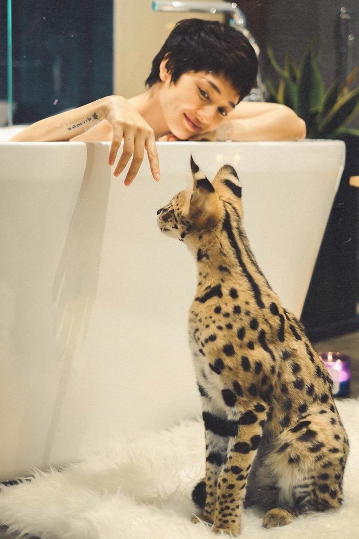 Bảo Anh khiến nhiều người thích thú khi sở hữu bé mèo có vẻ ngoài rất đặc biệt. Theo đó, mèo cưng của nữ ca sĩ có tên Cartier, thuộc giống Serval (Linh miêu đồng cỏ). Để sở hữu được chú mèo quý hiếm này, nữ ca sĩ phải chi khoảng 300 triệu đến nửa tỷ đồng.