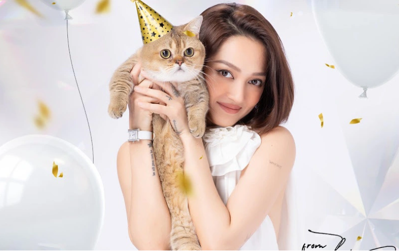 Ngoài ra, giọng ca 'Anh muốn em sống sao' còn nuôi thêm hai chú mèo khác tên là Salonpas và Panadol. Các bé mèo của Bảo Anh đều có phòng riêng, sống thoải mái trong căn hộ cao cấp với tủ lạnh, máy dọn phân, máy lọc không khí cực 