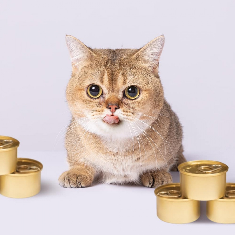  Đối với Panadol, Bảo Anh từng gây 