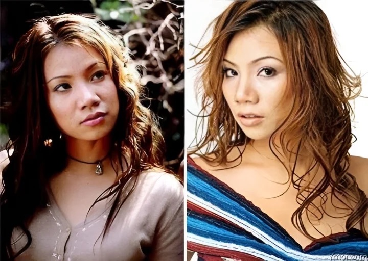 Nhan sắc đậm chất Á Đông của Hồ Quỳnh Hương thời gian đầu tham gia hoạt động nghệ thuật