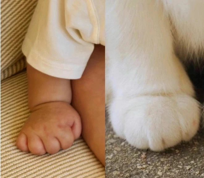 ... so với thời điểm trước đó khi Son Ye Jin đăng ảnh bé lên trang Instagram cá nhân