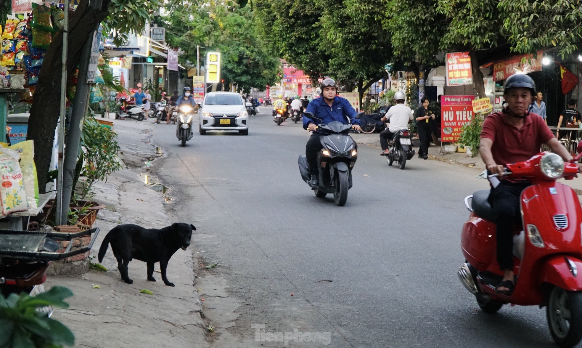 Trên đường Thân Văn Nhiếp (phường An Phú, TP Thủ Đức).