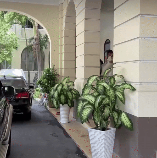 Nam Em không tự đi, được bạn trai bế ra xe sau buổi làm việc tại Sở Thông tin - Truyền thông TP. HCM