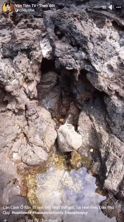 Hình ảnh được cắt từ clip của Văn Tiên TV.