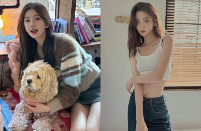 Sử Nhuế Y kém Lâm Canh Tân 11 tuổi. Cô có ngoại hình nổi bật với gương mặt khả ái, chiều cao 1,73 m