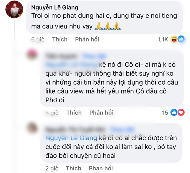 Tuy nhiên nữ diễn viên Lê Giang đã thẳng thắn lên tiếng dưới phần bình luận