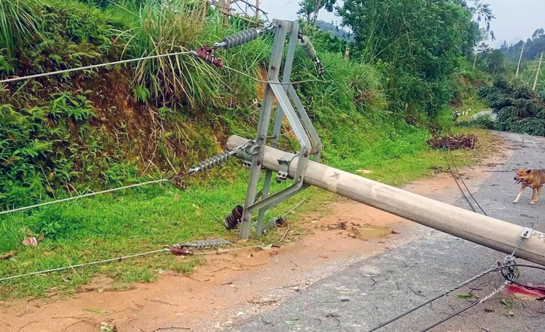 Cột điện bị đổ sập. Ảnh: CTV