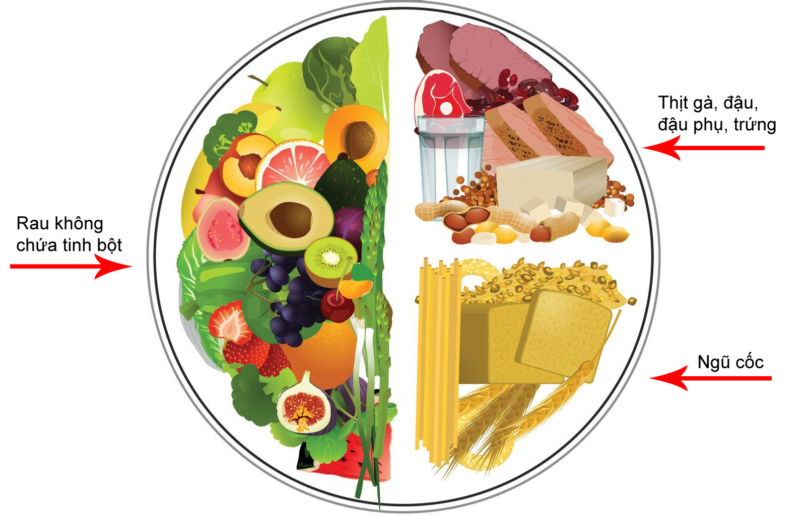 Chiếc đĩa minh họa chế độ ăn lành mạnh. Ảnh: Senicessm