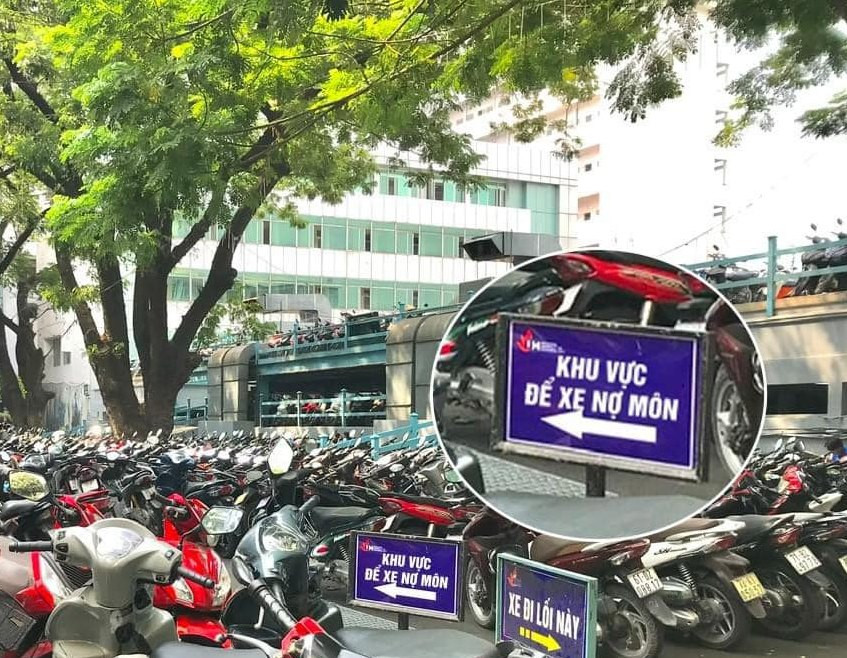 Bức ảnh 