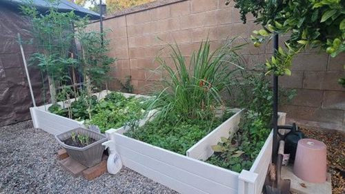 Thu Phương và Dũng Taylor cùng các con đang sinh sống trong biệt thự sang trọng rộng 700m2 tại thành phố Irvine (California, Mỹ).