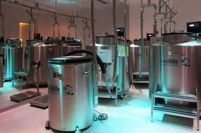 Vụ hỏng máu cuống rốn ở Singapore khiến các bậc cha mẹ ở các quốc gia khác như ngồi trên đống lửa