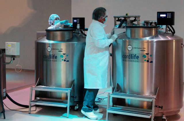 Hàng nghìn mẫu tế bào gốc bị hỏng vì bị xử lý sai cách