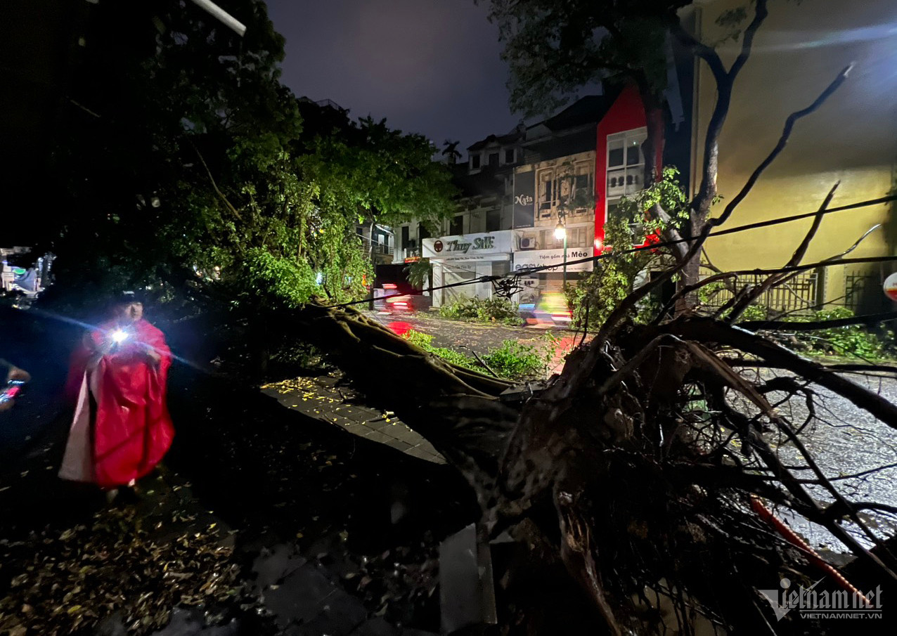 Mưa giông, gió mạnh khiến cây xanh bật gốc ở Hà Nội vào tối 20/4. Ảnh: Đình Hiếu