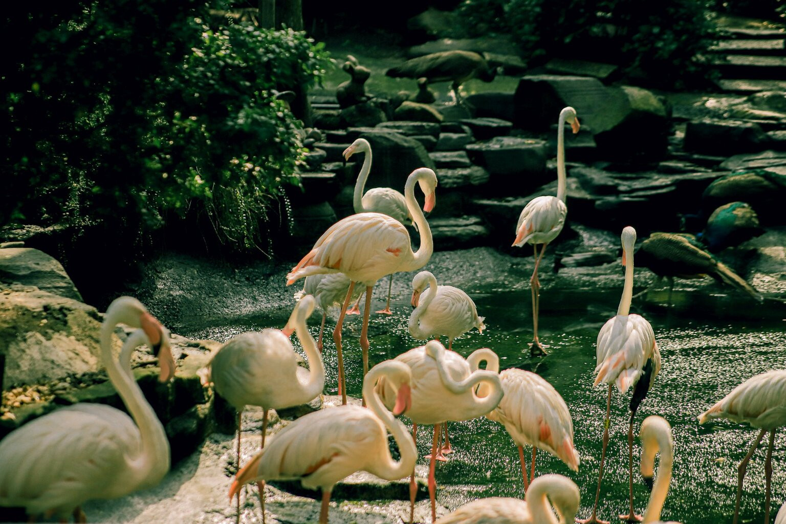 Ảnh: Kỳ Anh Nguyễn