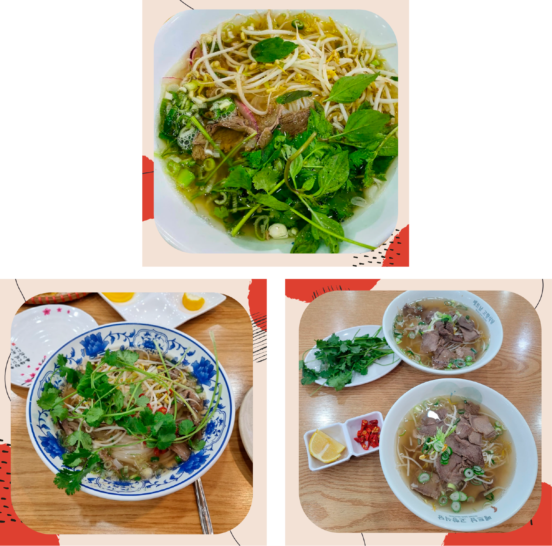 Mỗi bát phở bò ở quán chị Thu được bán với giá 9.000 won (khoảng 165.000 đồng, suất nhỏ) và 11.000 won (hơn 202.000 đồng, suất to), ăn kèm giá đỗ và rau thơm Việt Nam như rau mùi, húng chó,...