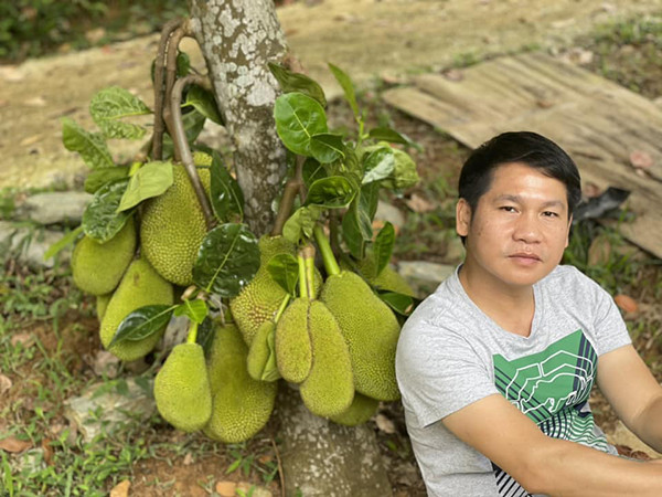 Từ năm thứ 2 ở Nhạc viện, Trọng Tấn đã bắt đầu đi hát. Ban đầu, anh biểu diễn ở các sân khấu nhỏ rồi đến với sân khấu Khúc hát trữ tình. Từ đó, anh bắt đầu được hát những bài hát chỉn chu, cả cổ điển lẫn cách mạng. Nam ca sĩ chia sẻ, đây là 