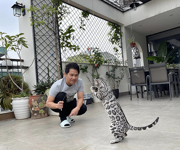 Hiện tại, vợ chồng nam ca sĩ và hai con đang sinh sống trong căn nhà rộng rãi, khang trang ở Hà Nội. Ngoài ra, Trọng Tấn còn sở hữu cơ ngơi bạc tỷ ở quê nhà Thanh Hóa.