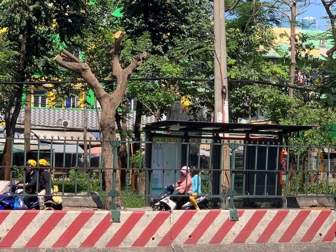 Hiện đơn vị quản lý hàng cây xanh trên cũng đã đề nghị đơn vị điện lực sớm triển khai ngầm hóa điện để đảm bảo an toàn điện, cũng như đảm bảo mỹ quan đô thị khi cây xanh không phải bị cắt trụi như hiện tại.