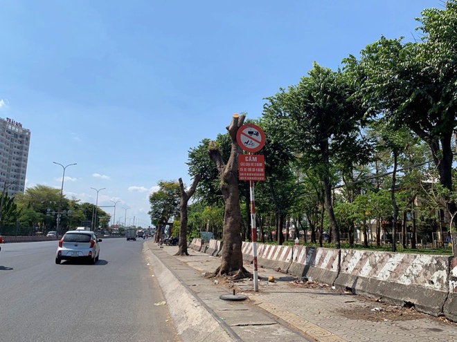 Hàng cây xanh giờ chỉ còn phần thân khiến tuyến đường trở nên nóng nắng hơn trước, nhiệt độ những ngày qua giao động mức 35-37 độ, ngoài trời có thể lên đến 40 độ C.