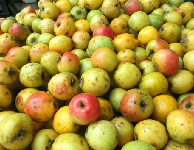 Không chỉ có hương vị đặc biệt mà các sản phẩm từ táo mèo còn tốt cho sức khỏe