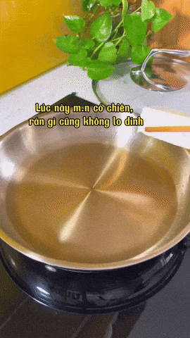 (Nguồn: @nhaquynhdam)