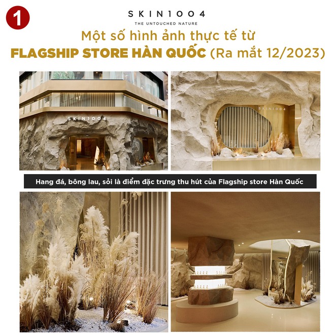 Nguồn gốc ý tưởng từ hòn đảo Madagascar đã được áp dụng tại cửa hàng Hàn Quốc từ năm ngoái.