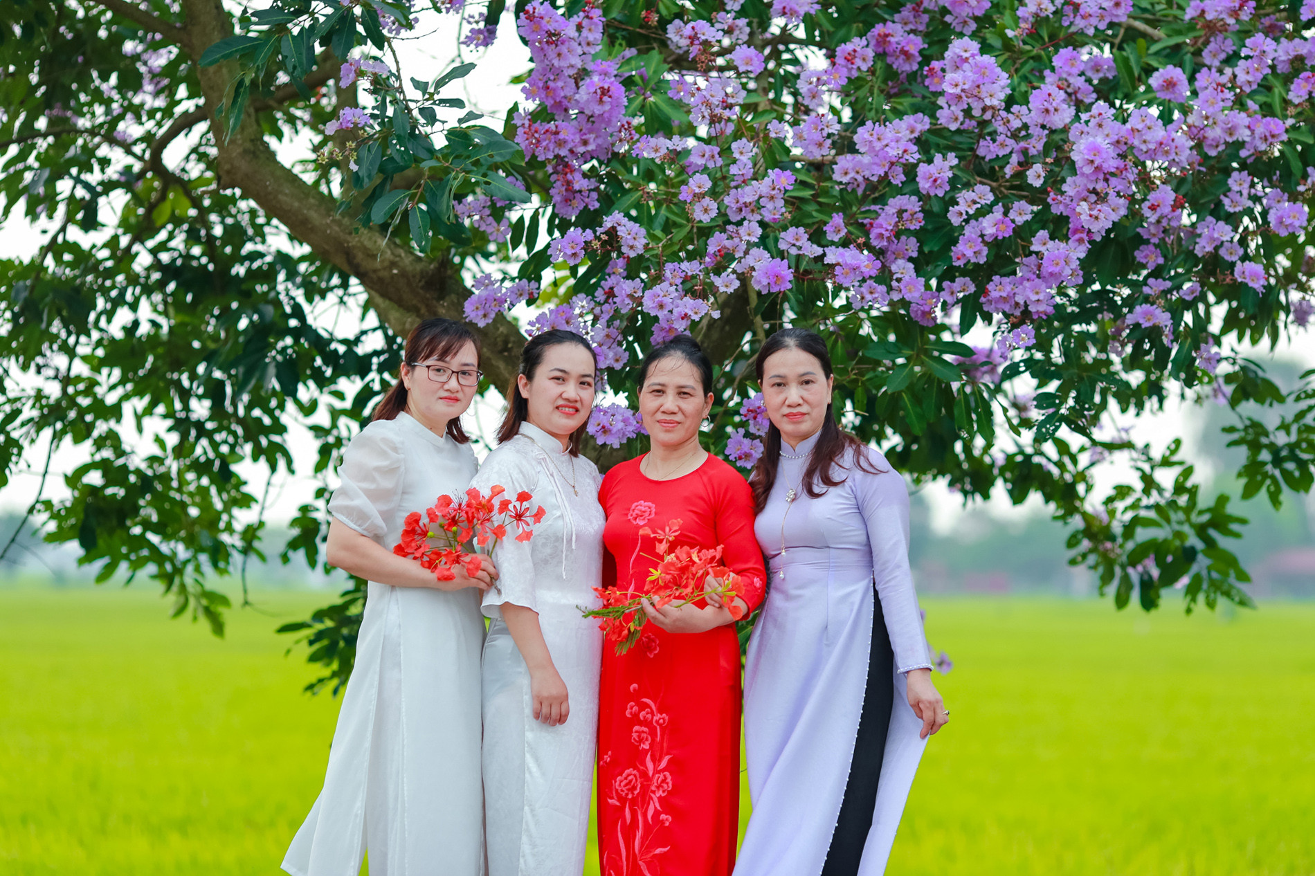 Du khách diện áo dài, thoải mái tạo dáng chụp ảnh dưới những gốc bằng lăng nở rộ, nổi bật sắc tím mộng mơ.