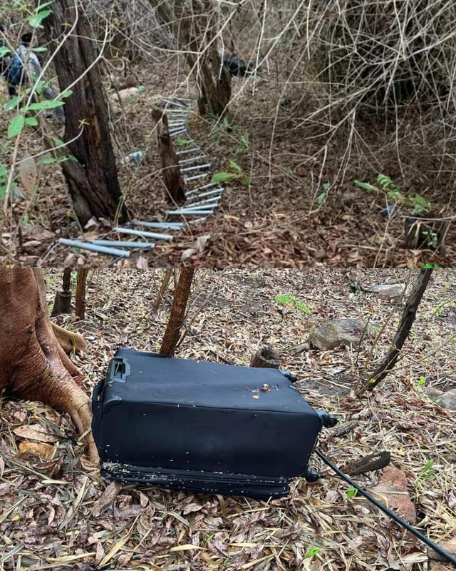 Hiện trường của vụ án