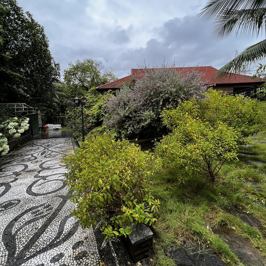 Căn nhà chính được xây dựng hoàn toàn bằng gỗ tự nhiên, gồm hai tầng lầu và một tầng hầm. Lối đi được lát đá xen kẽ với thảm cỏ xanh mướt cùng với nhiều loài hoa rực rỡ.