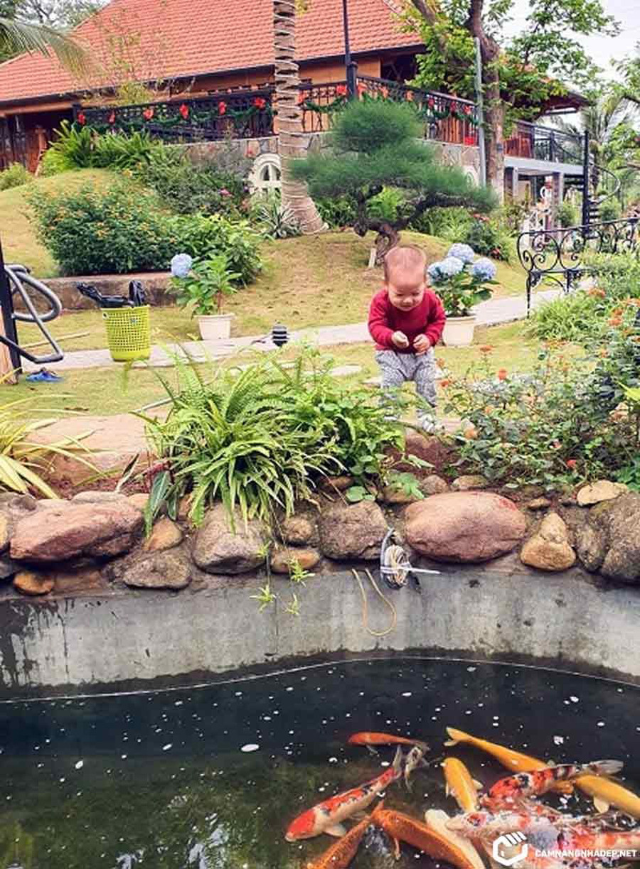 Bên cạnh không gian sống lý tưởng, chốn lui về của Xuân Bắc còn sở hữu hồ cá Koi sang trọng và khu vườn xanh mát với nhiều loại cây đắt tiền. 