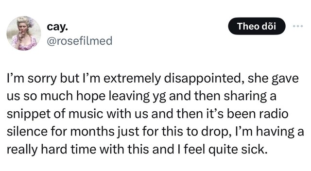 Bình luận bày tỏ sự thất vọng với quyết định của Rosé
